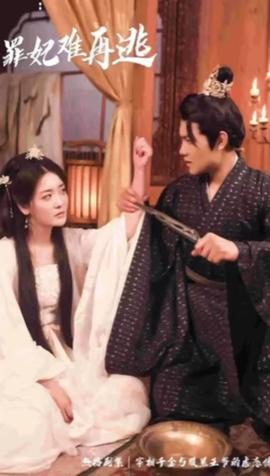 只愿从来不识君：罪妃难再逃